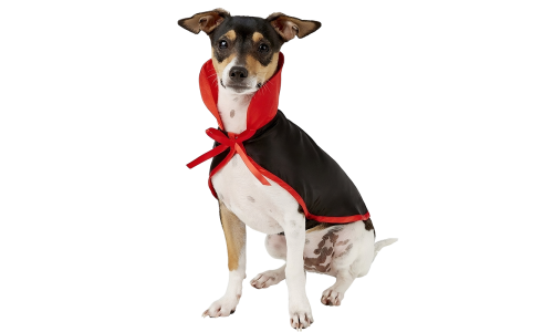 Dog Vampire Costume 2 in 1 set for Halloween Dogidtags